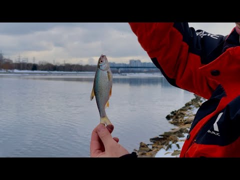 Видео: ЗИМНИЙ ФИДЕР. Начало сезона. Братеево