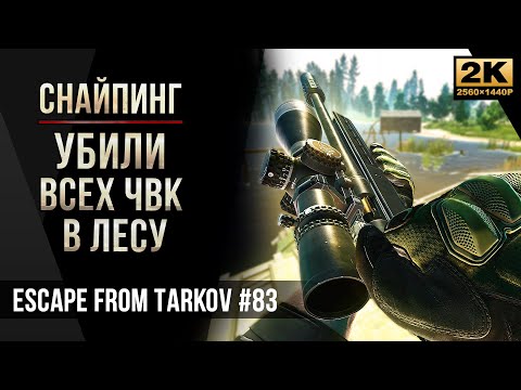 Видео: Убили всех ЧВК в Лесу • Снайпинг • Escape from Tarkov №83 [2K]