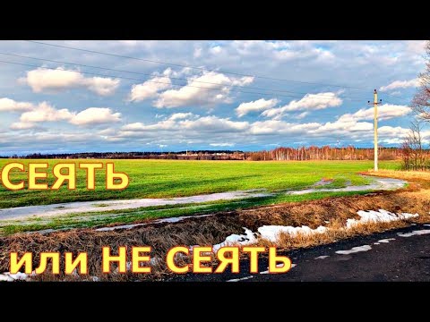 Видео: ПОГОДА сошла с ума, ЧТО МОЖНО САЖАТЬ?