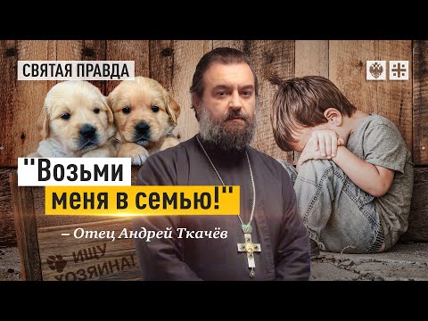 Видео: В современном мире собак ценят больше детей — отец Андрей Ткачёв