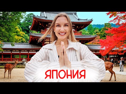 Видео: Первый раз в Японии. Мы в шоке. Осака и Нара - вкусно недорого и красиво