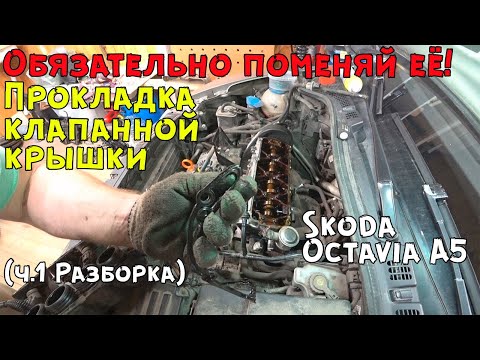 Видео: Замена прокладки клапанной крышки на Шкода Октавия А5 (ч.1 Разборка)