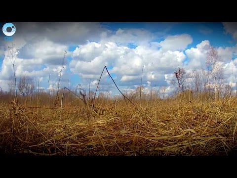 Видео: Телепроект "Пешком по Новосибирской области": 29 января 2017 (Колыванский район)