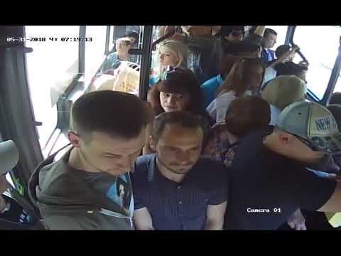 Видео: Нервная работа водителя. Бык в Липецком автобусе.