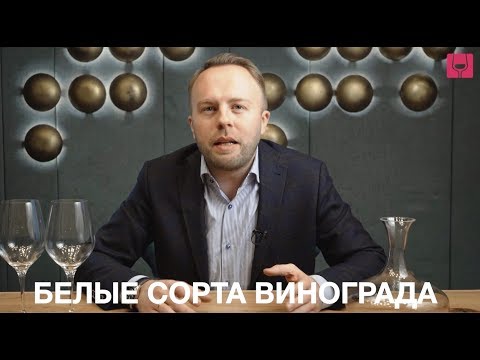 Видео: ТОП - 15 главных сортов винограда для производства вина. Часть 1 - Белые.