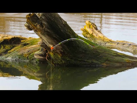 Видео: КАРАСІ РВУТЬ ЛІСКУ і ЗАТЯГУЮТЬ В КОРЧІ / ловля карася в зимку на боковий кивок з літньою мормишкою