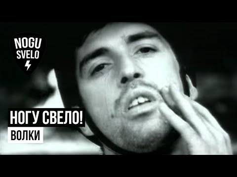 Видео: Ногу Свело! - Волки