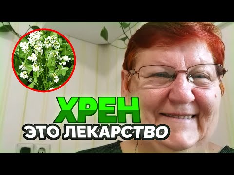 Видео: ХРЕН ЦВЕТЁТ! Делаем НАСТОЙКУ/ 118