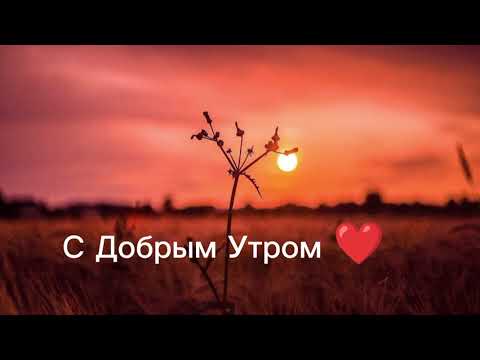 Видео: Песня для хорошего настроения! С добрым утром ! Любви - Здоровья и счастья всем вам !