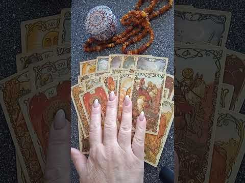 Видео: Для 🤴Её отношение к тому другому🥴🤔 т. +79084810007 WhatsApp
