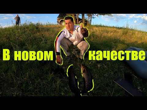Видео: Змееголов, отличная съемка