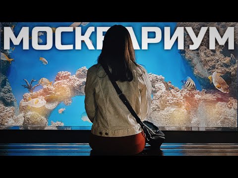 Видео: Гид по Москвариуму! Как он устроен? И даже хамелеона встретили!