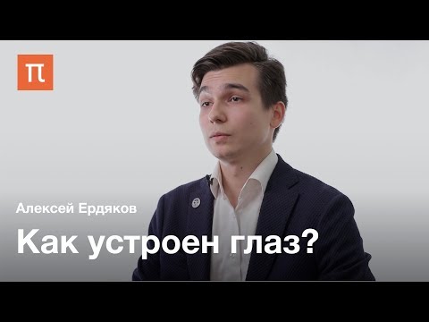 Видео: Строение и воспаления глаза — Алексей Ердяков