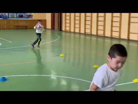 Видео: “Жас маман - болашаққа бас қадам” байқауына таныстыру. Дене шыныктыру пәні мұғалімі.