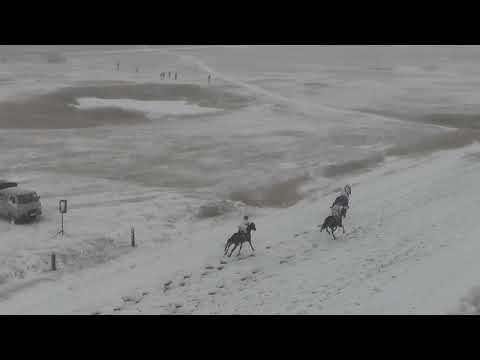 Видео: Скаковой день 27 сентября. Дистанция 2400 м. Кынат