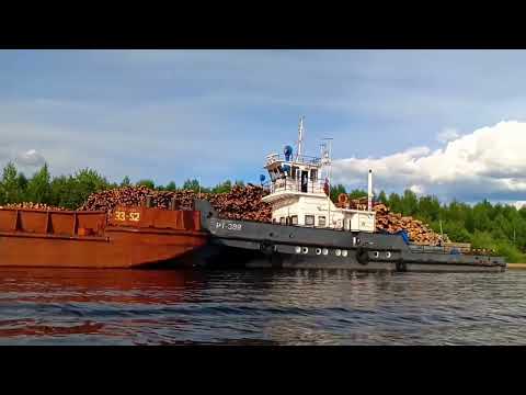Видео: Открытие водного сезона 2025. Покатушки по Камским заливам на пакрафте.