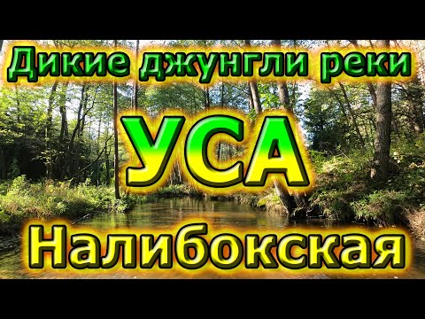 Видео: Уса Налибокская - Жёлто-Нёманский канал. Эпические приключения на реке от Дроздовщины до Нёмана.