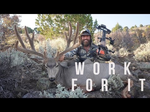 Видео: РАБОТАЙТЕ НА ЭТО - Бархатный олень-мул для стрельбы из лука - Гигант общественных земель