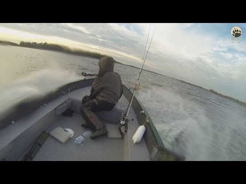 Видео: Пулеметная щука and Finval...bogomaz05