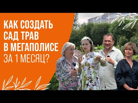 Видео: КАК СОЗДАТЬ САД ТРАВ В МЕГАПОЛИСЕ ЗА 1 МЕСЯЦ?