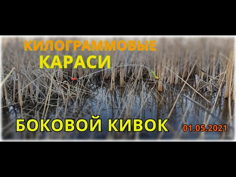 Видео: КИЛОГРАММОВЫЕ КАРАСИ на БОКОВОЙ КИВОК рыбалка Северный Казахстан КАРАСИ КАБАНЫ на удочку!!!