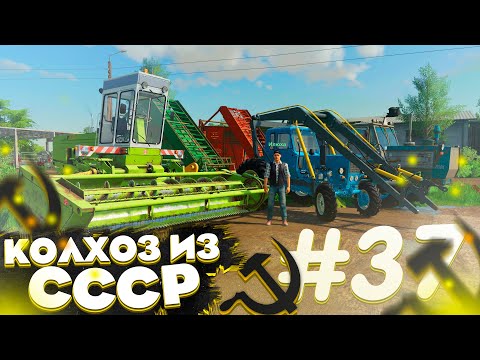 Видео: КОСИМ И ПЕРЕВОЗИМ ТРАВУ ДЛЯ КОРОВ! КОЛХОЗ ИЗ СССР- ЧАСТЬ 37! FARMING SIMULATOR 19