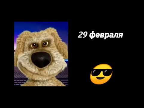 Видео: сборник *грустный Бен*