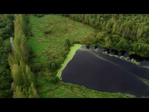 Видео: Юнтоловский заказник