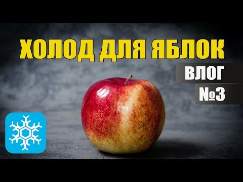 Видео: Холодильное оборудование для хранения яблок | ВЛОГ №3
