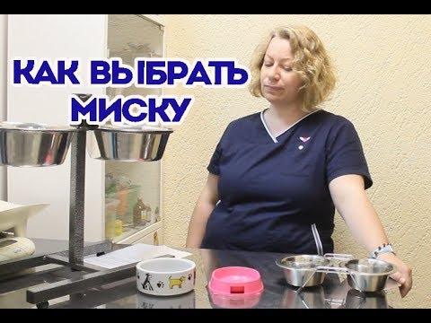 Видео: Какие миски нельзя покупать или как выбрать миску собаке, кошке.