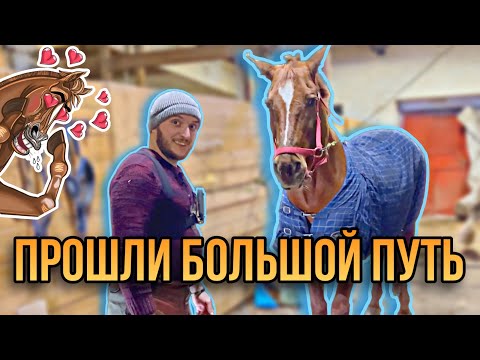 Видео: Сначала копыта сильно крошились, но вот что удалось сделать за 3,5 года.
