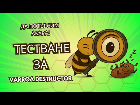 Видео: Тестване за акари. Какво ни казват тестовете за вароа?