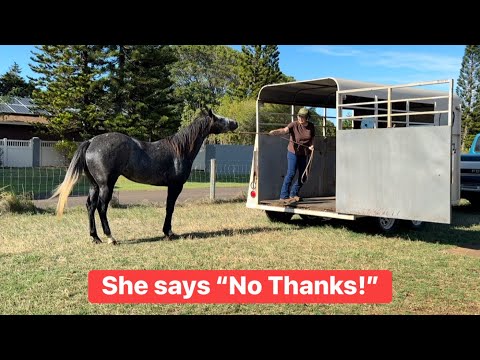 Видео: Как изменить сознание травмированной лошади!