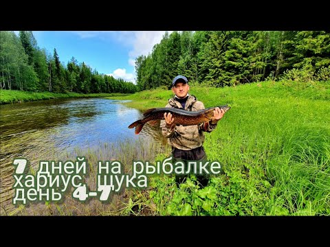 Видео: Рыбалка в Архангельской области. Хариус, щука. Часть 2.