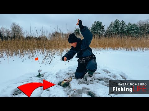 Видео: Зимова Рибалка На Жерлицю - Другий ПЕРШИЙ ЛІД