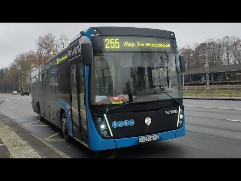Видео: Автобус №255. МЦД Мичуринец — Микрорайон Первый Московский — МЦД Мичуринец