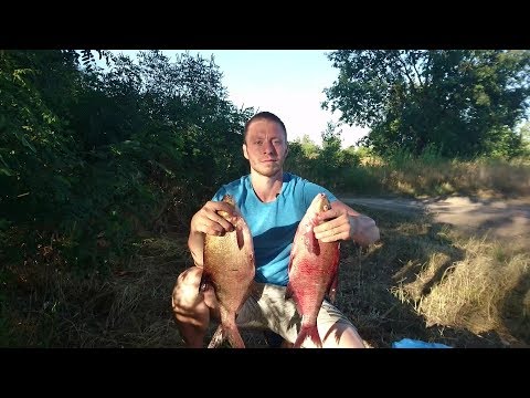 Видео: Рыбалка - мечта на реке Десна! Долгожданный клев леща, вкусное жаркое и просто отличный отдых.