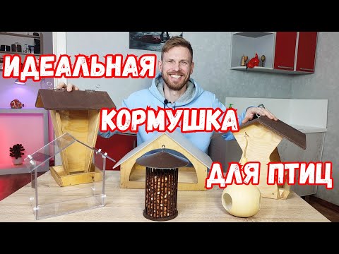 Видео: Какие бывают кормушки для подкормки птиц зимой?