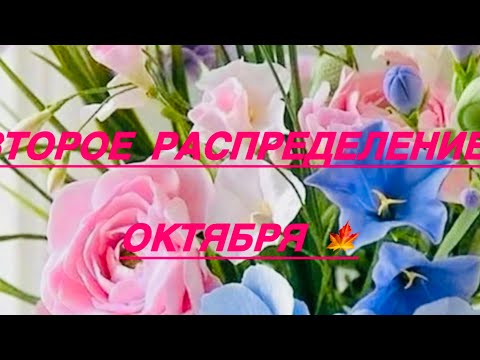 Видео: 24 октября 2025 г.