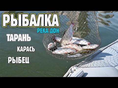 Видео: РЫБАЛКА 02.10.2022. РОСТОВ-НА-ДОНУ. Тарань. Карась. Рыбец.