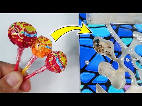 Видео: Что если дать муравьям Чупа Чупс, который красит язык? Снова покрасил муравьев?