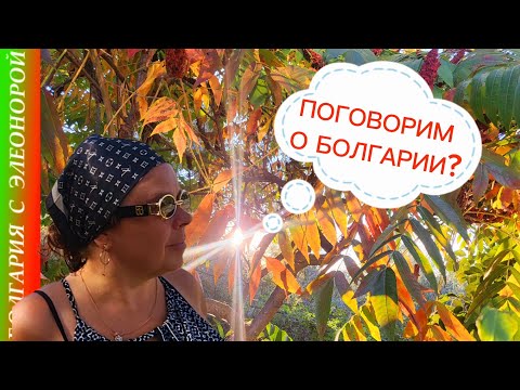 Видео: Собеседование, Природа, Ракия, Жильё и Гражданство в Болгарии