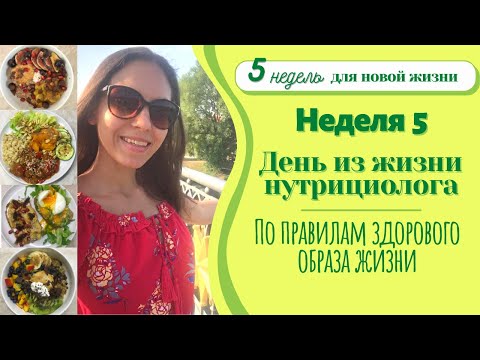Видео: Как проходит МОЙ ДЕНЬ | Полезные привычки, спорт, правильное питание