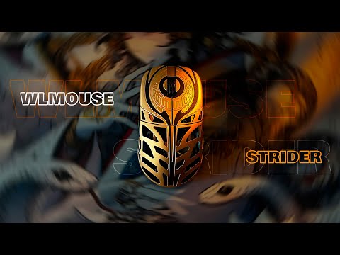 Видео: За что ПЛАТЯТ 12 000 Руб? WLMOUSE STRIDER