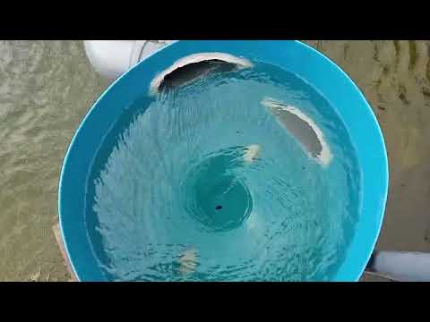 Видео: УЗВ Самодельный гидроциклон.