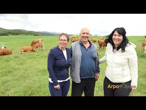 Видео: АГРОФОРУМ: Овощар от Русенско намери начин как да се справя с градушките