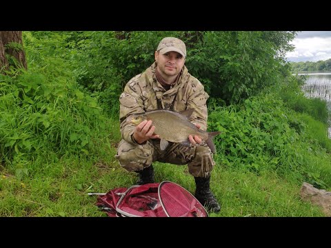 Видео: #Рыбалка на Оке#Донки#Лещ#Ока