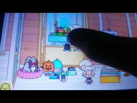 Видео: 9 ноября 2025 г.