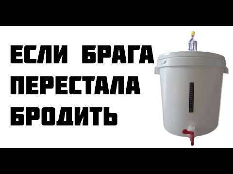 Видео: Если брага не добродила