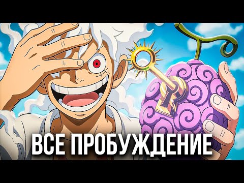 Видео: Все 17 Пробуждений Дьявольских Фруктов :Объяснение